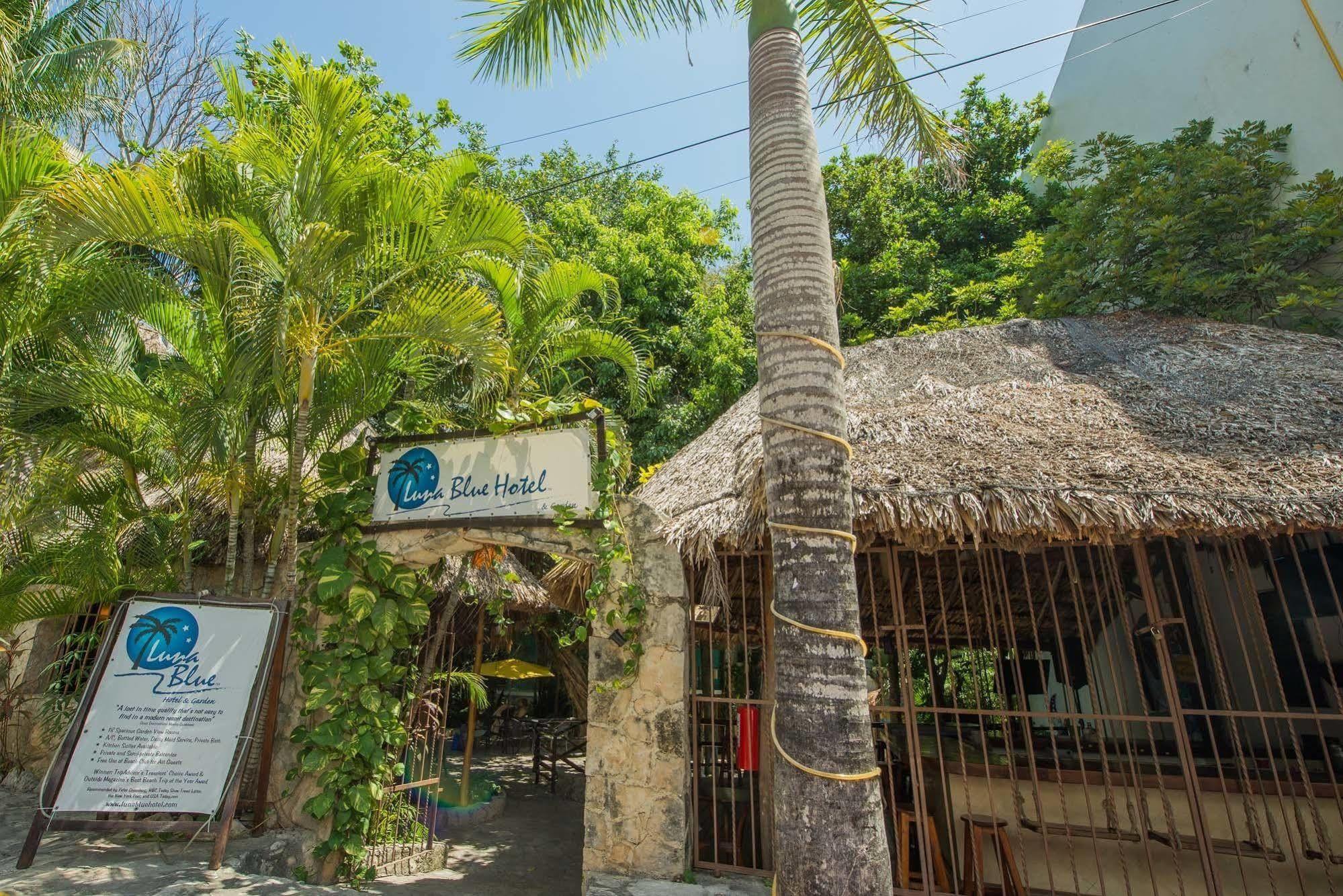 Luna Blue Hotel Playa Del Carmen Extérieur photo